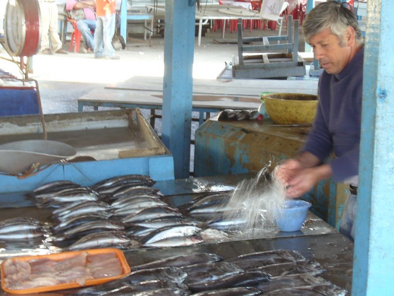 Fish market